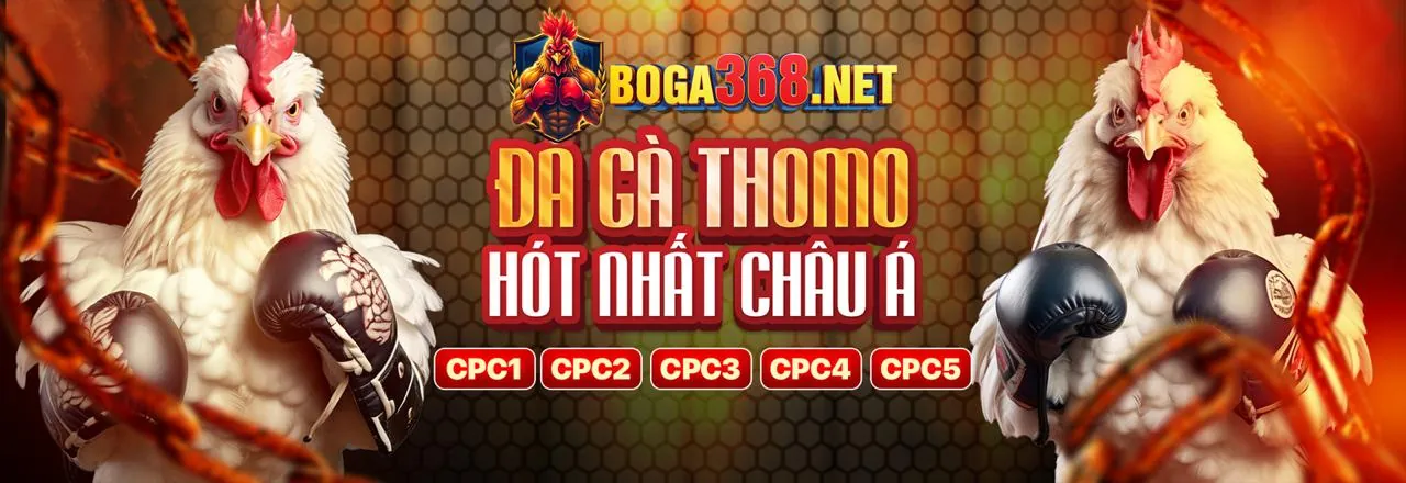 Khuyến mãi chào mừng Nohu 88
