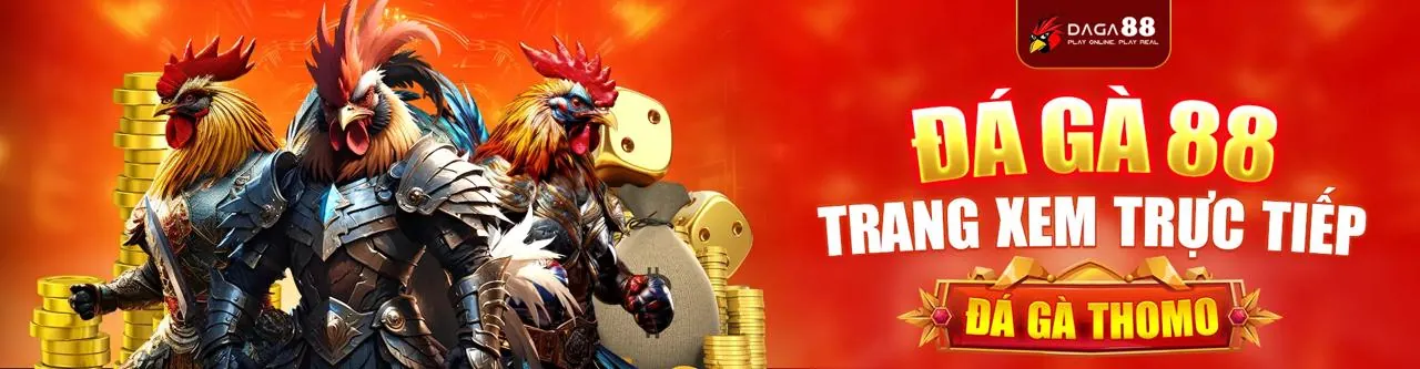Đá Gà Trực Tuyến nohu 88 đăng nhập